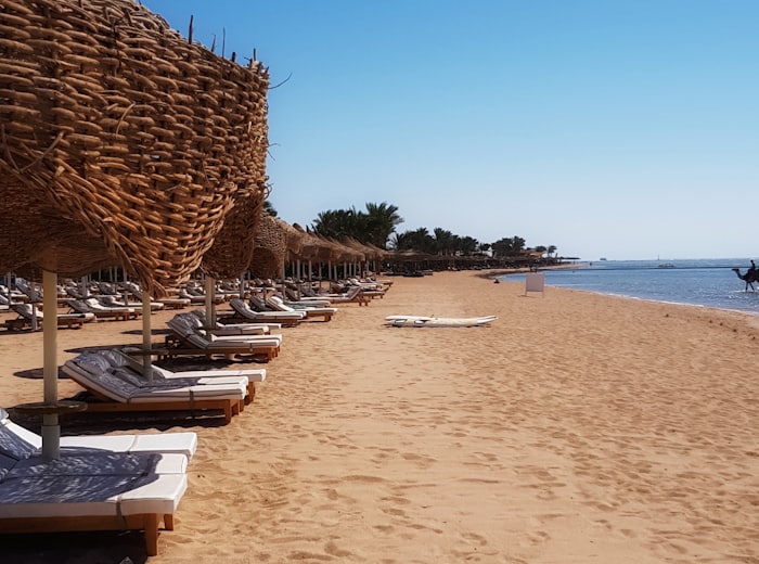 Отель All Inclusive, Египет
